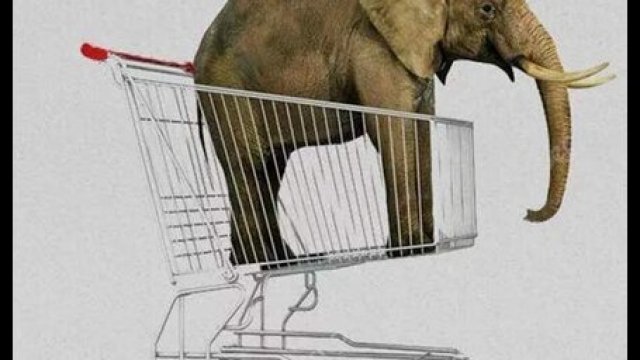 Купи слона: на что потратят краевой бюджет-2024