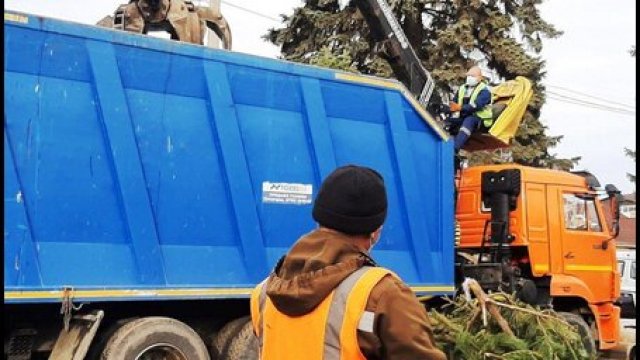 В МинЖКХ Ставрополья рассказали, как правильно утилизировать новогоднюю ёлку