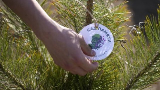 Акция «сад Памяти» стартовала на Ставрополье