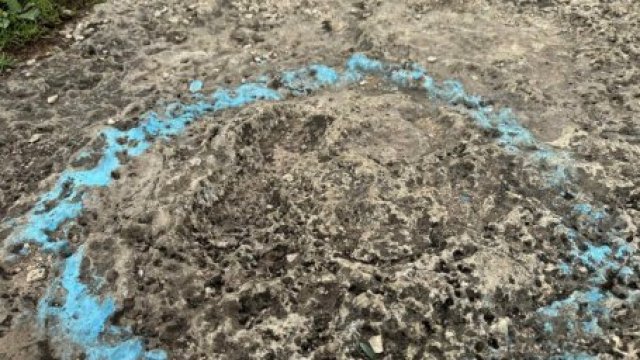Динозавры в Кисловодске: уникальные отпечатки древних ящеров станут новой достопримечательностью
