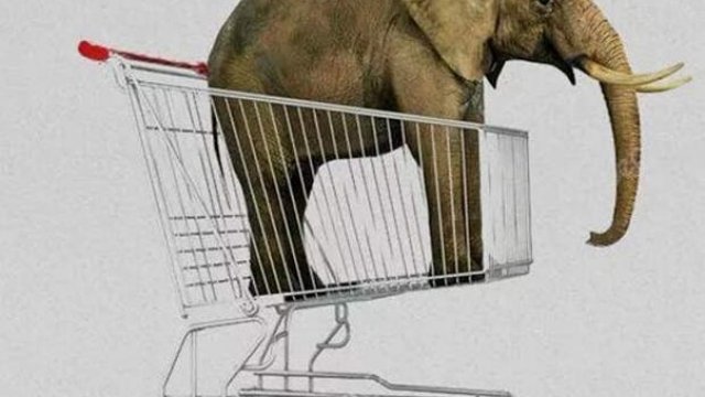 Купи слона: на что потратят краевой бюджет-2024