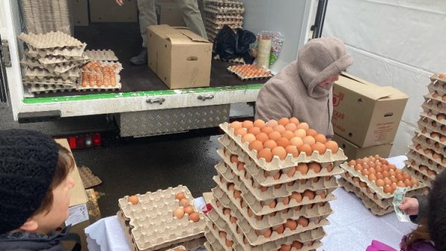 Первую партию турецких яиц поставили в Россию