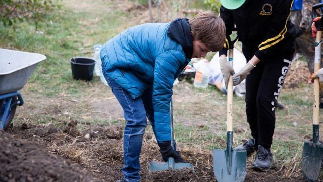 «Очень важно сохранить «легкие» нашего зеленого города»