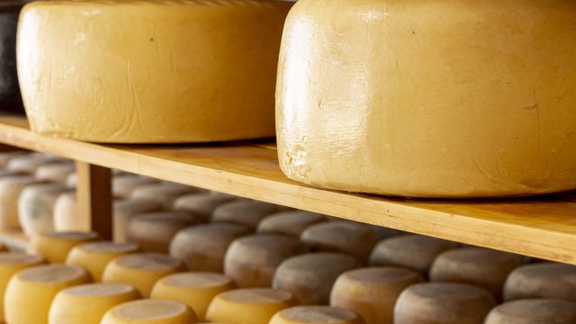 В Ингушетии появится первый в республике завод по производству сыра