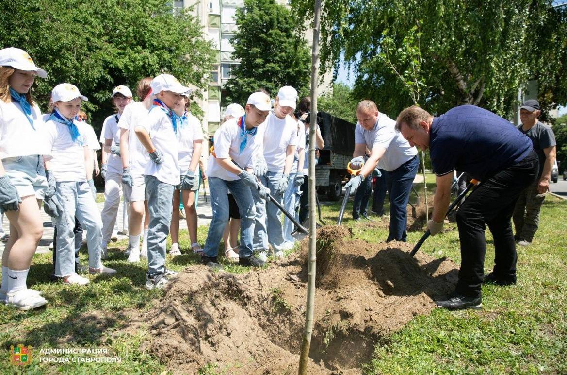 Северо-западный район Ставрополя пополнился почти 50 новыми саженцами