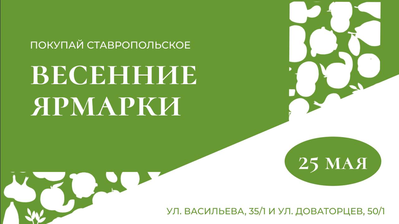 Весенние продовольственные ярмарки вновь на улицах Ставрополя