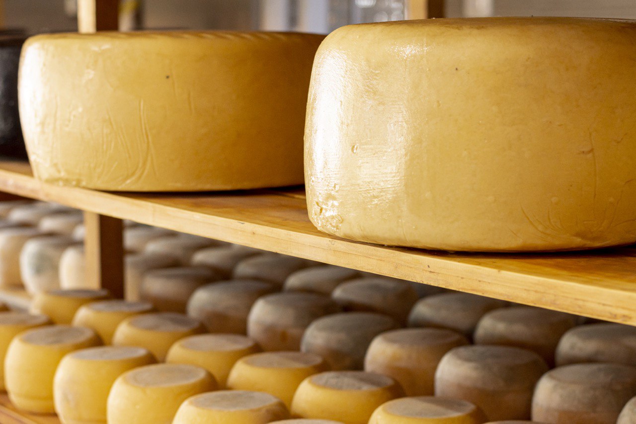 В Ингушетии появится первый в республике завод по производству сыра