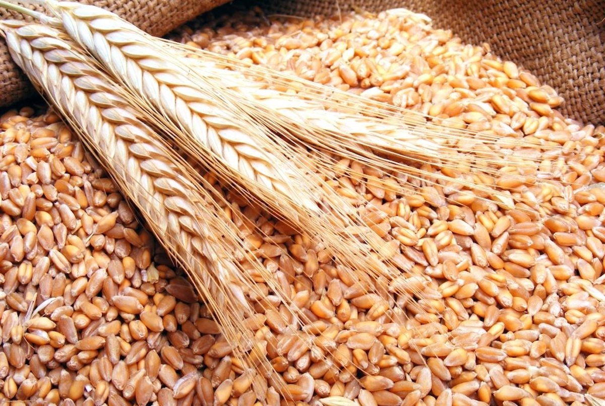 Заявлено о завершении зерновой сделки в России