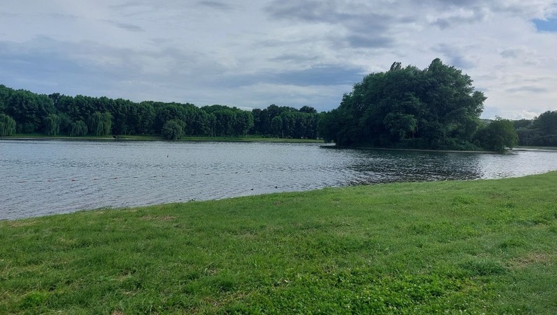 Озеро в Ессентуках пытаются очистить от водорослей
