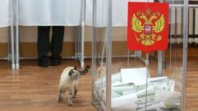 ЦИК России подвел предварительные итоги голосования